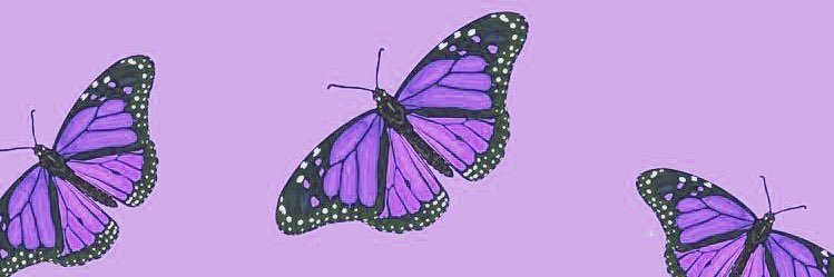 BrigitteCKelly's profile banner image