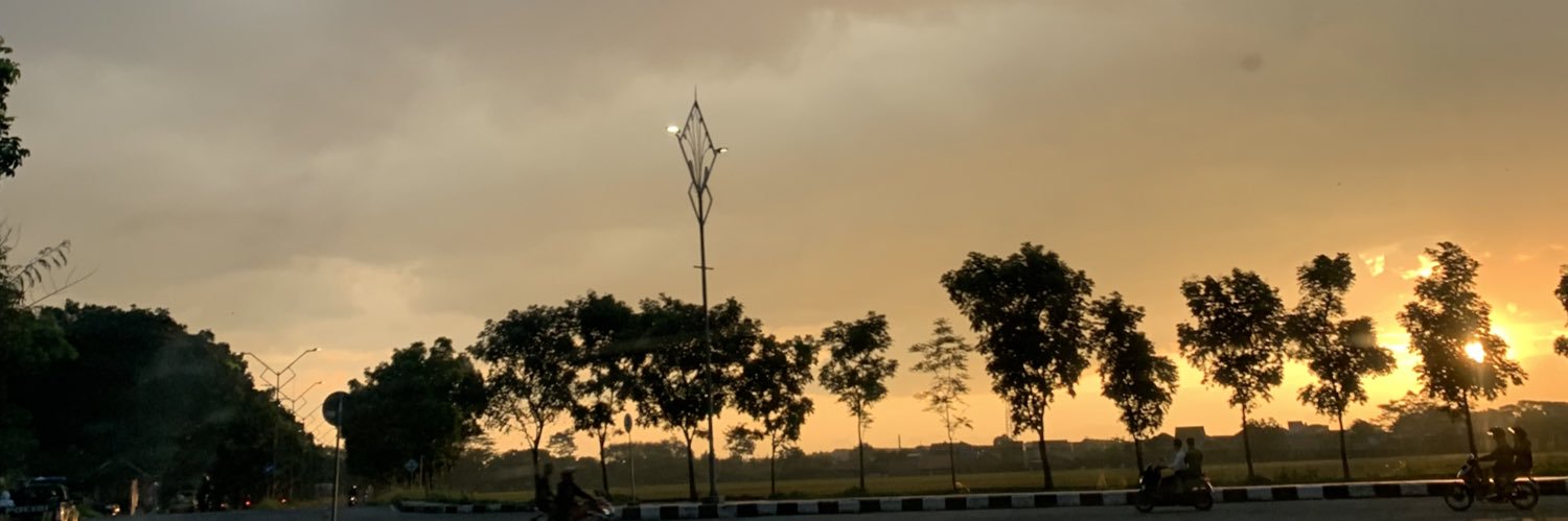 lilaaster's profile banner image