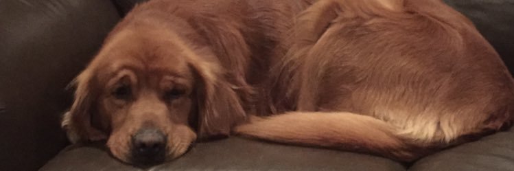 Gambrel_12's profile banner image