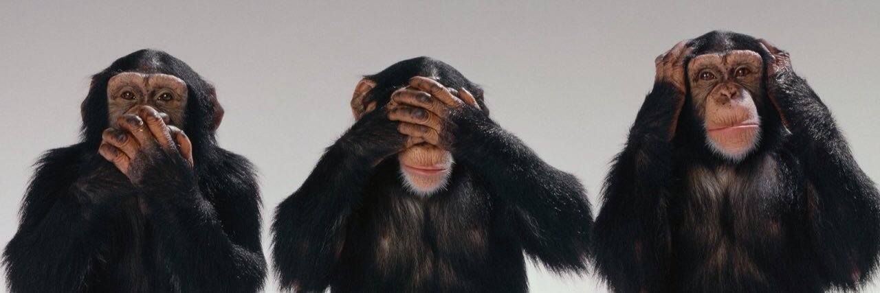 MortonOrson's profile banner image