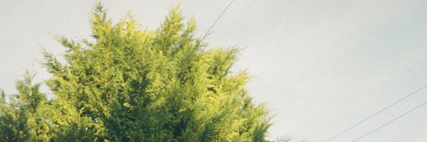 jckgnn Profile Banner