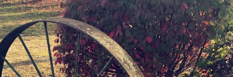 JacqueShows's profile banner image