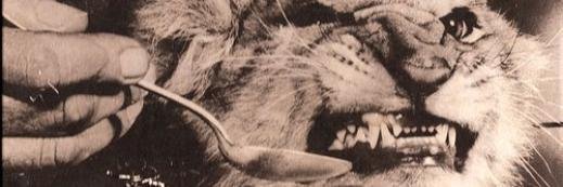 wharrgarbl's profile banner image