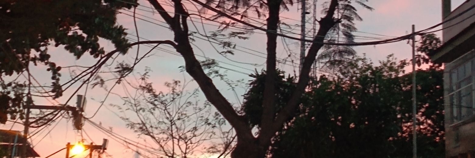 BarrosAcassia's profile banner image