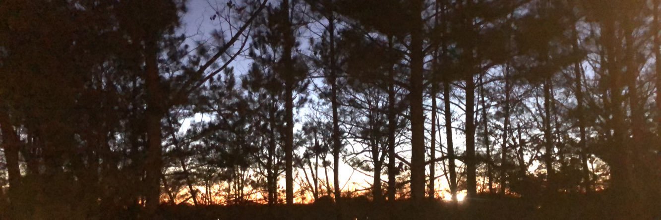 BigPhillips78's profile banner image