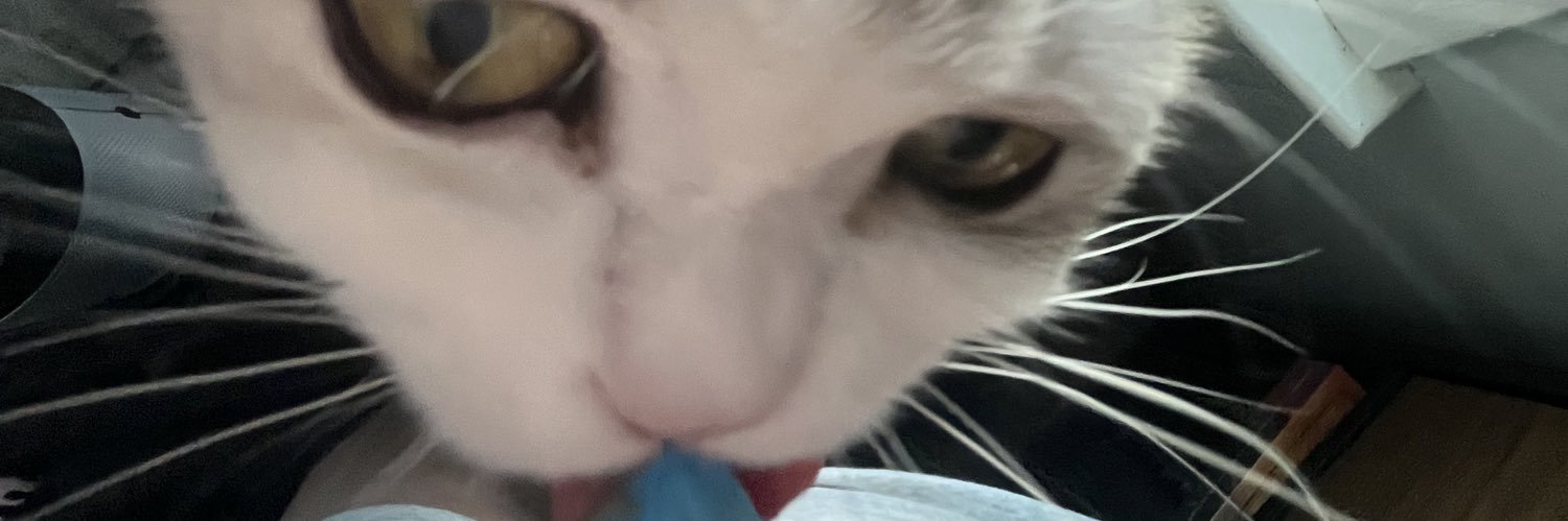 dlcsquizzy's profile banner image