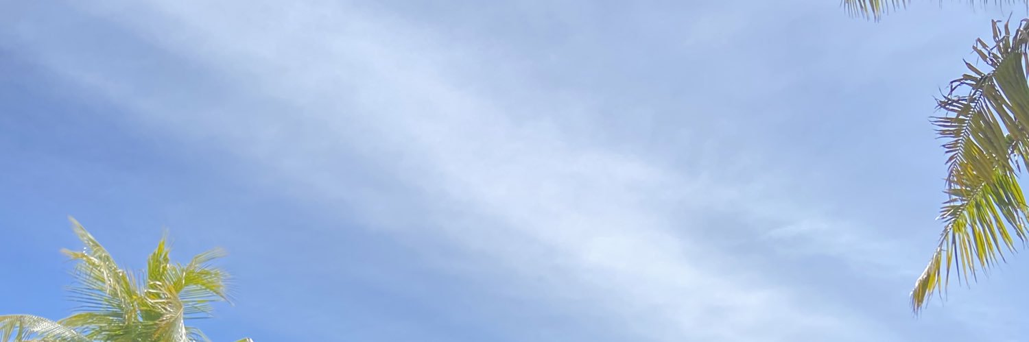 vros33's profile banner image