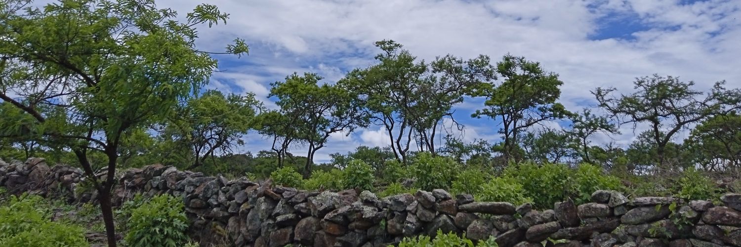 jjolloqui's profile banner image