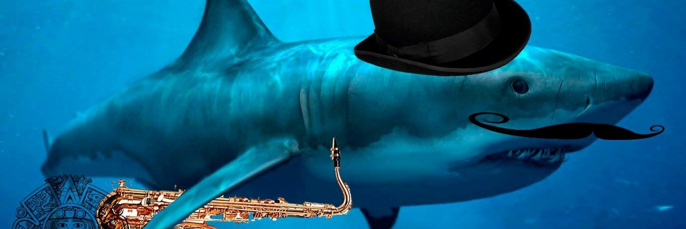 anphanstephanle's profile banner image