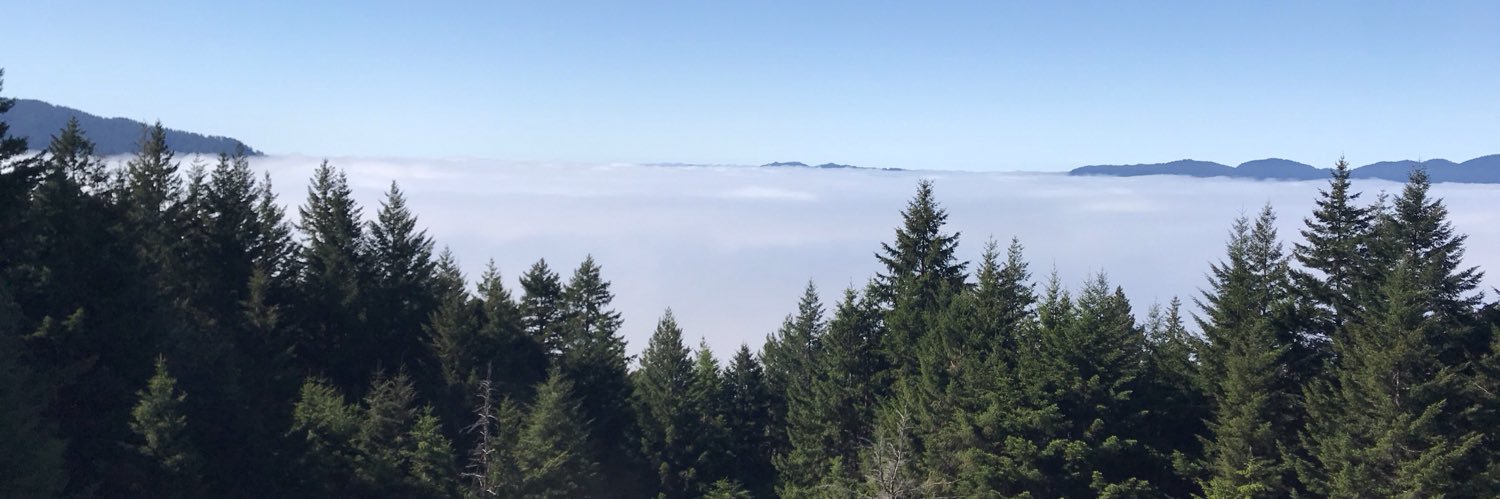 BrandonCourv's profile banner image