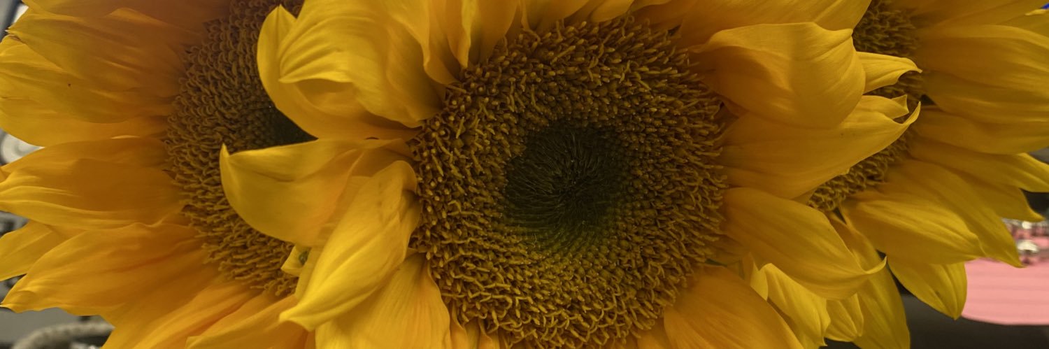 JNene_'s profile banner image