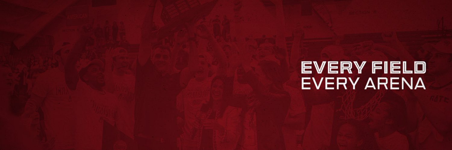 Kaylin Johnson banner