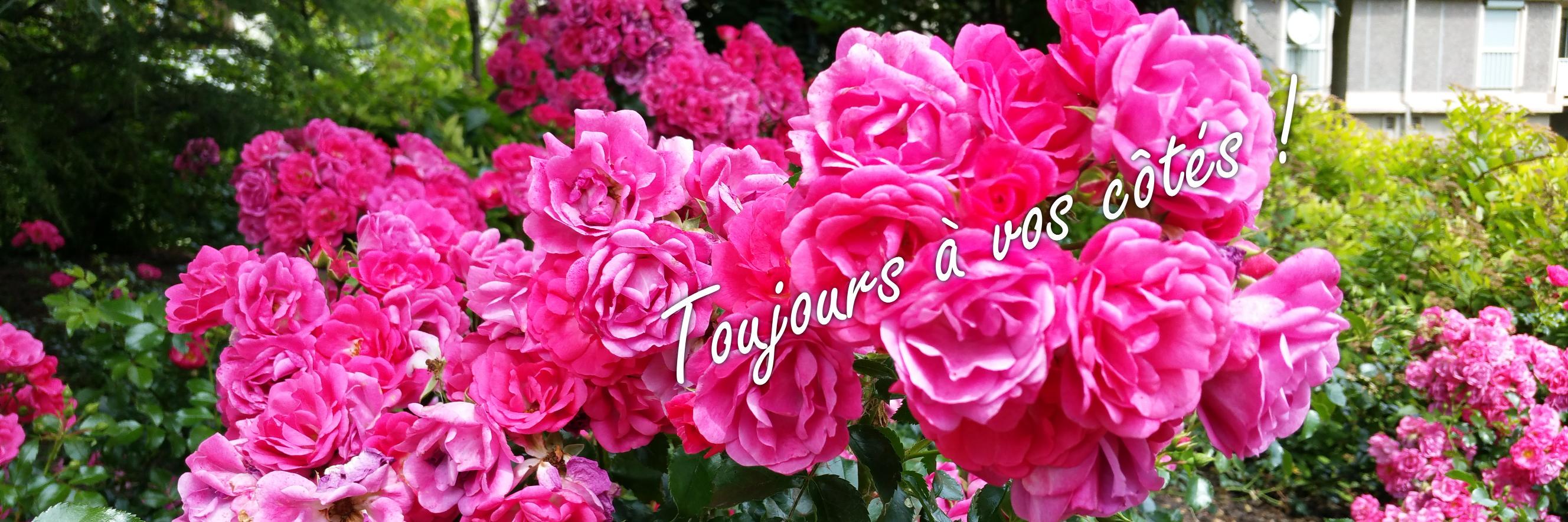 PS Marne-Forêt Noire banner