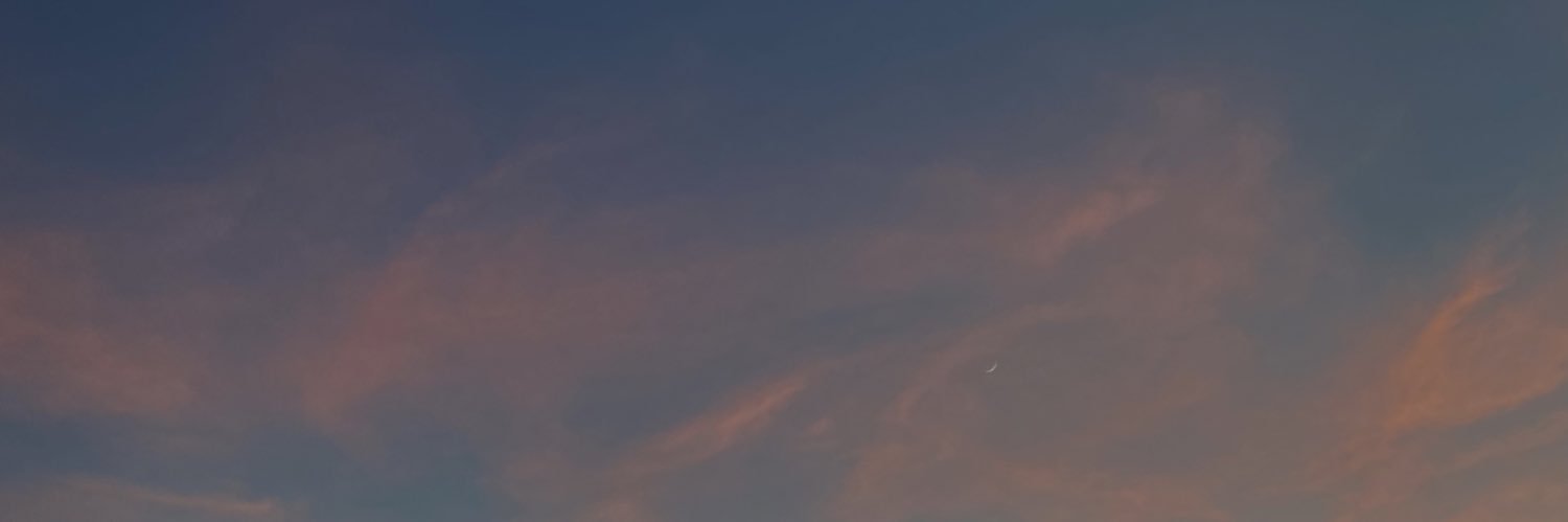 marisamipe's profile banner image
