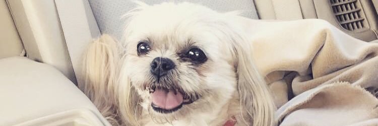 MatteneMusic's profile banner image