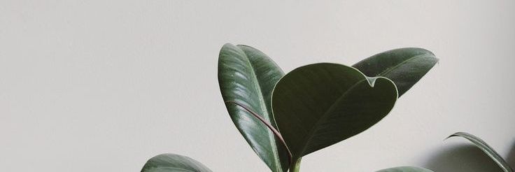 D Ayu Ratnasari banner