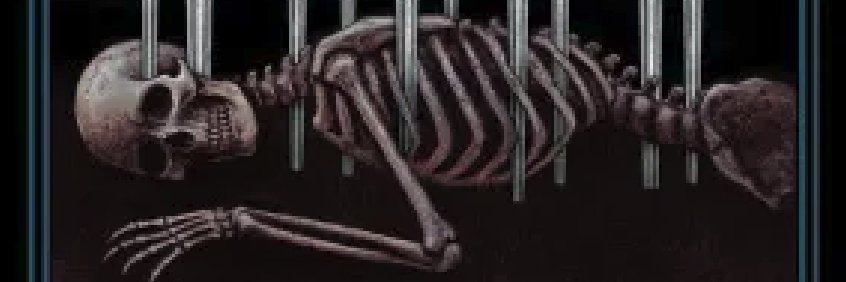 𝕬 𝖇. 𝖛𝖆𝖒𝖕𝖎𝖗𝖊 banner