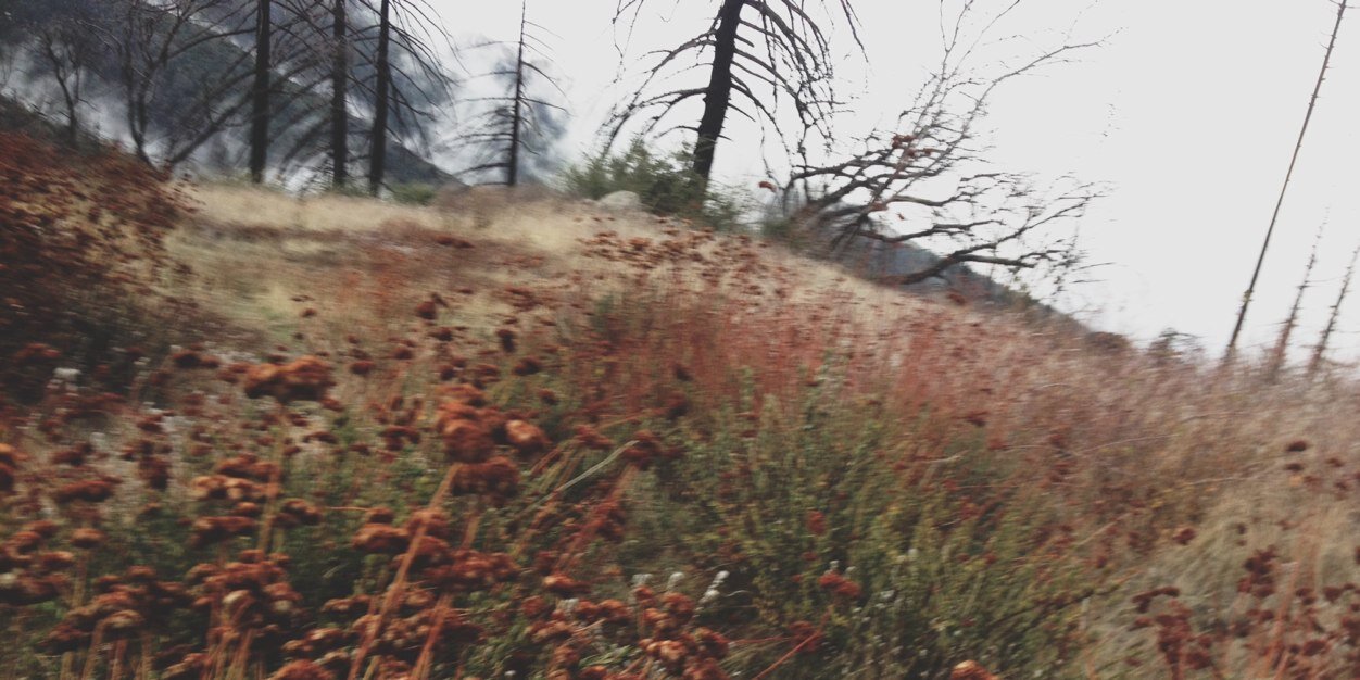 johnnyhamilton_'s profile banner image