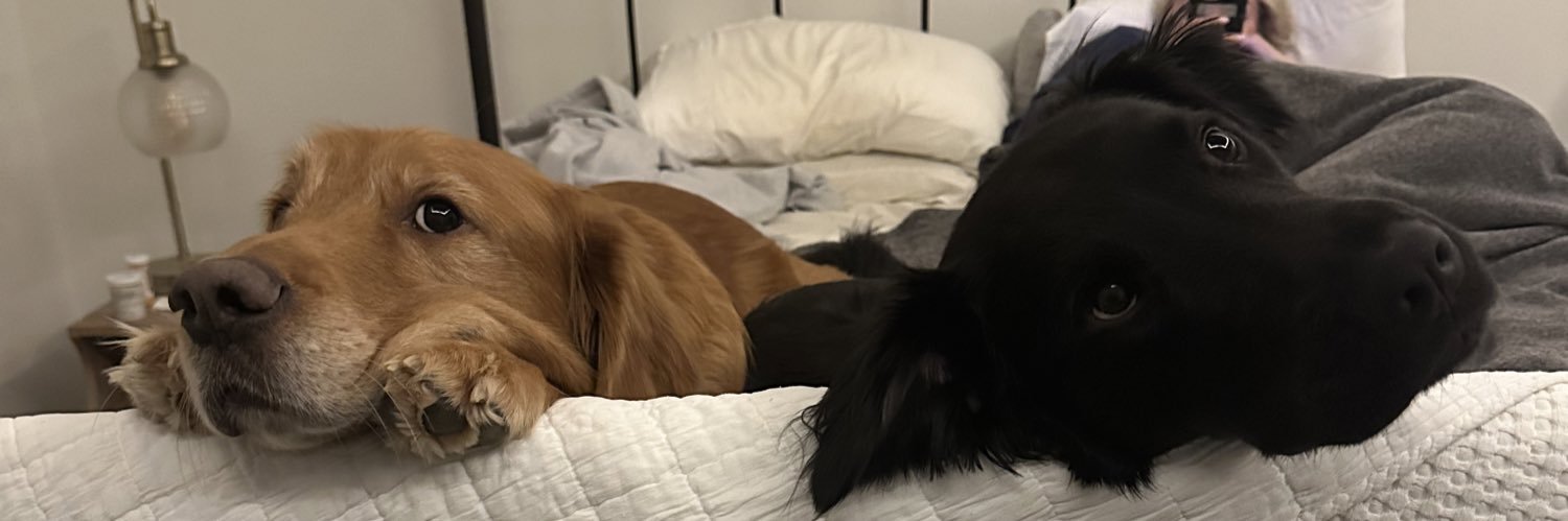 AlexanderJKing2's profile banner image