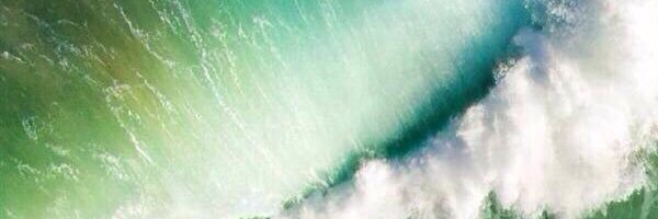 404nullUrl's profile banner image