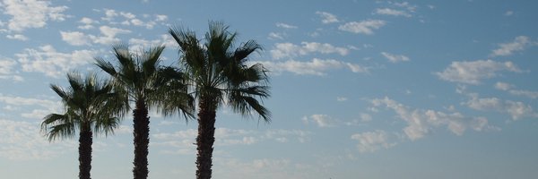 mpaluchowski Profile Banner