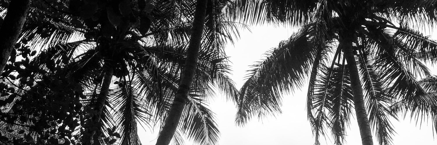 Karlitalucerobj's profile banner image