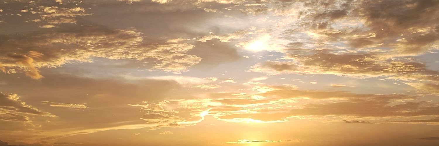 maybi1's profile banner image