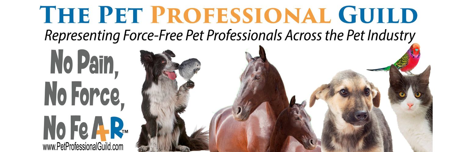 PetProfessionalGuild banner