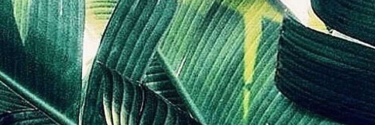 Seth Chernoff banner