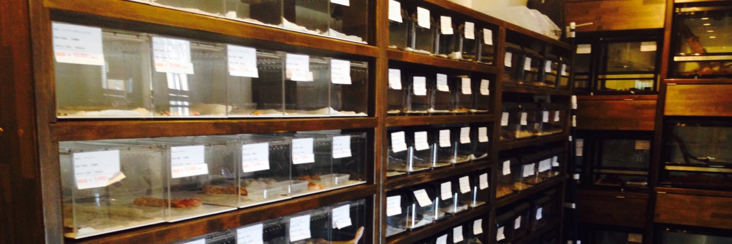 Reptiles Shop Queen banner