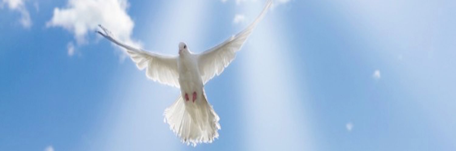 RioSuavey's profile banner image