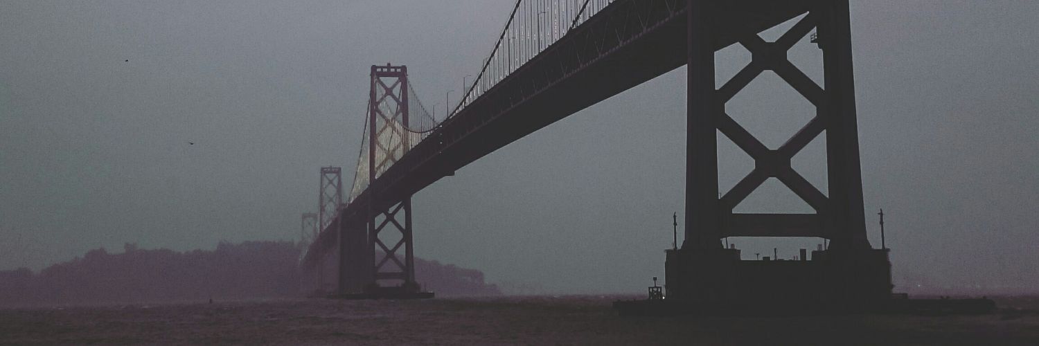 vaev's profile banner image