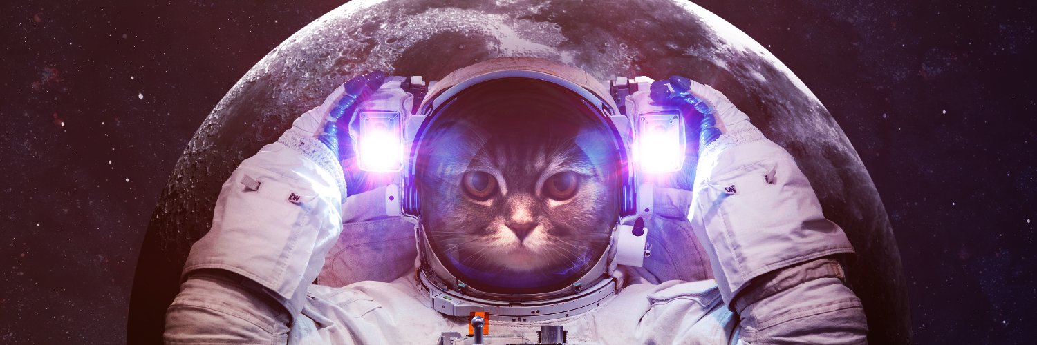 GunNyan's profile banner image