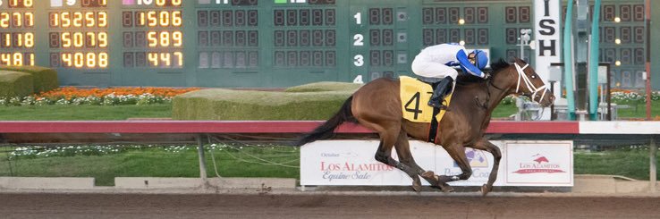 CNGRacingStable's profile banner image