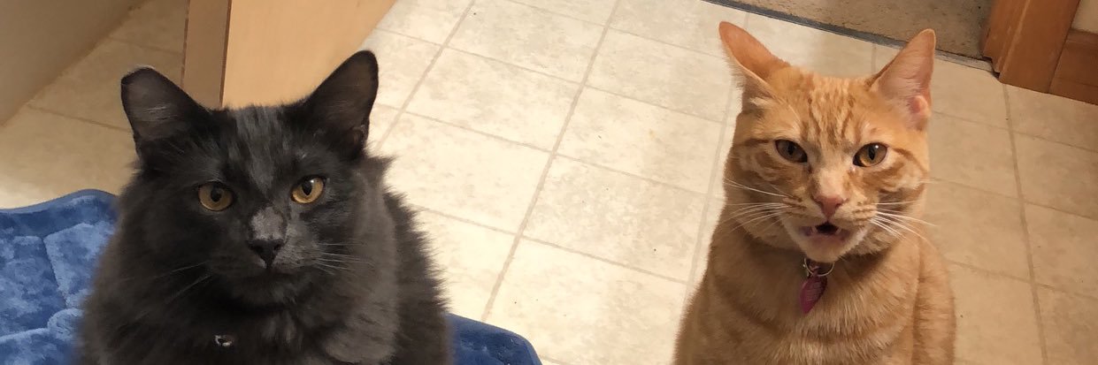 RitchieSanchezz's profile banner image