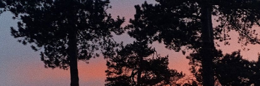 typicallyholIy's profile banner image