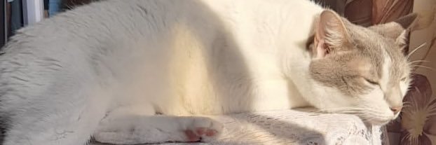 maik banner