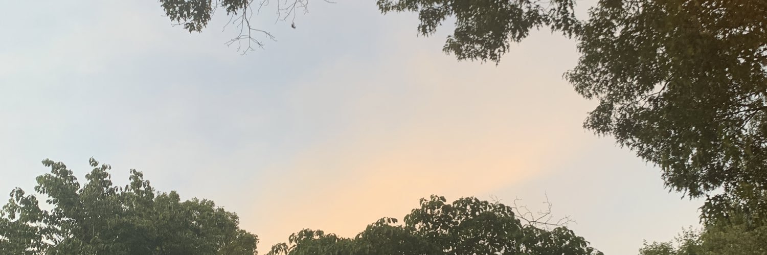 snvscnclls's profile banner image
