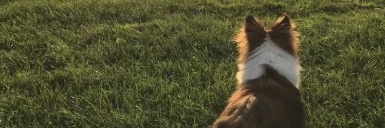 thubbs53's profile banner image