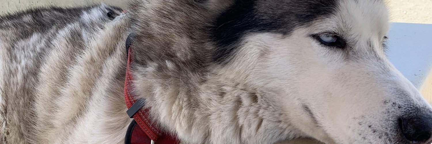 Spøøky Erin❤️ banner