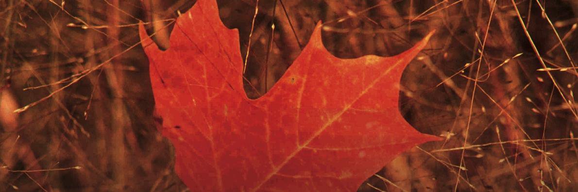 sinclabox's profile banner image