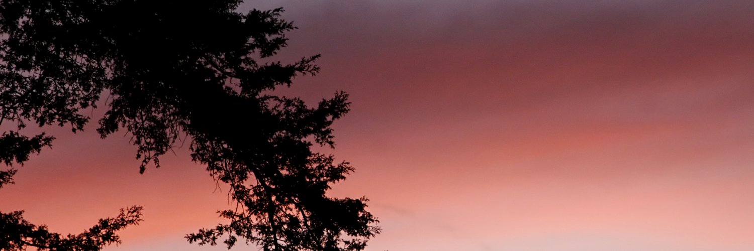 dragonmist59's profile banner image