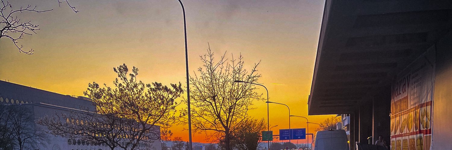 RoseDuude's profile banner image