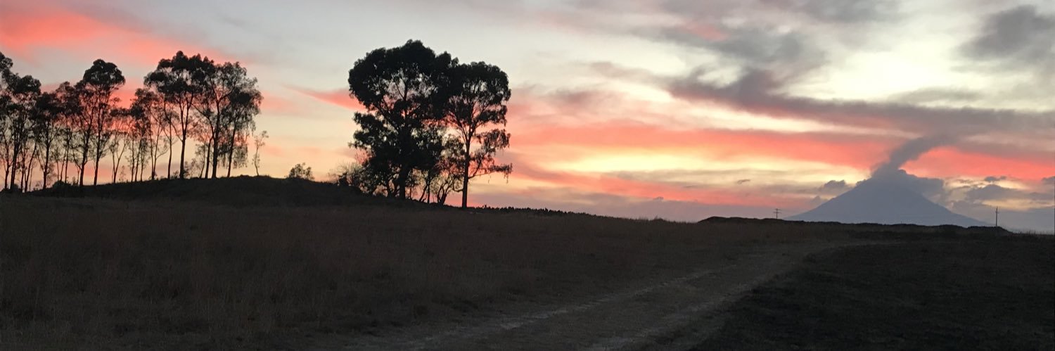 andreeamarquez's profile banner image