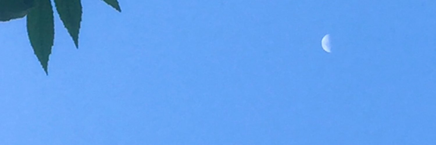 HajjAlien's profile banner image