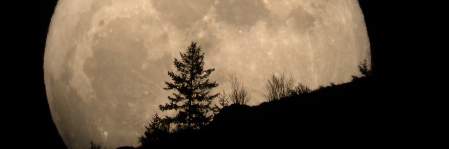 d7om265's profile banner image