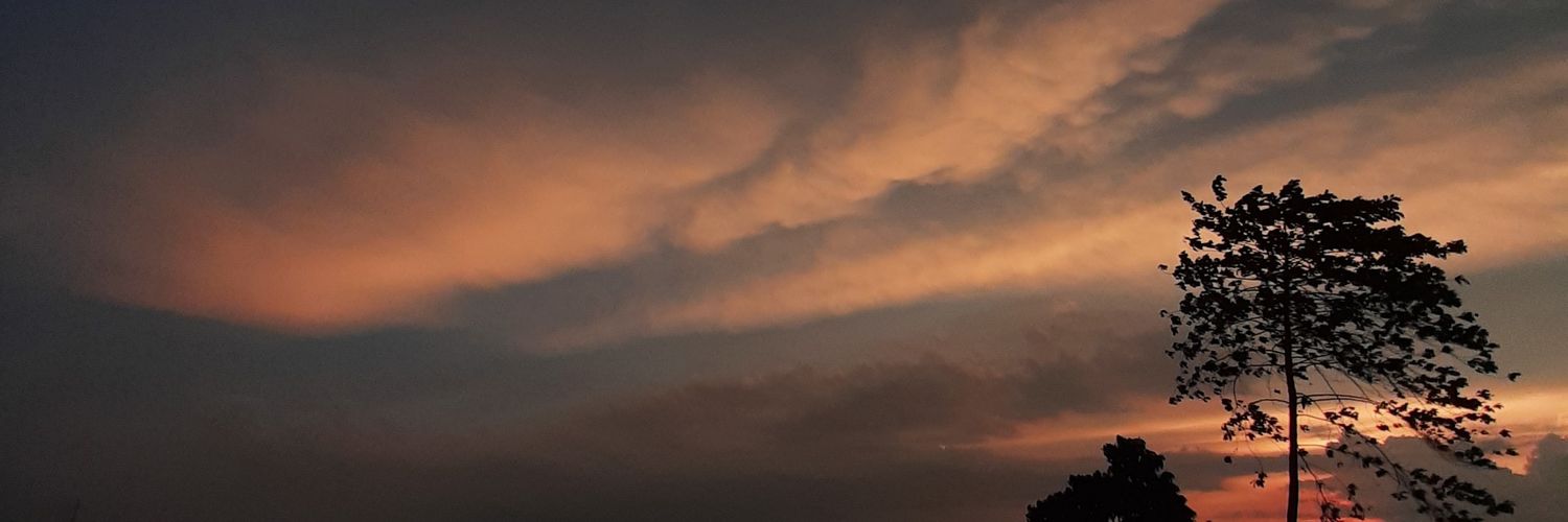 agnina29's profile banner image