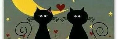 lisseteroblero's profile banner image