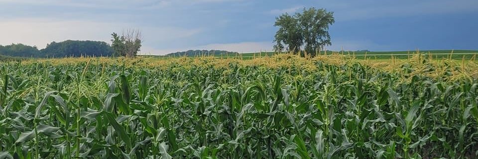 Nathan Winter banner