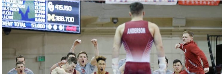 Levi Anderson banner